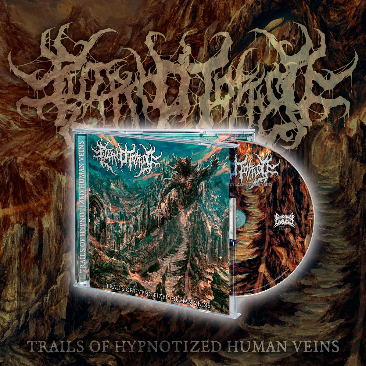 Putrid Torso