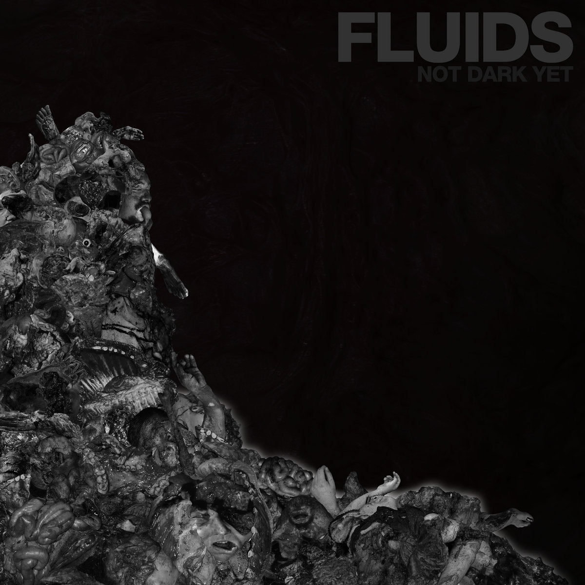 Fluids