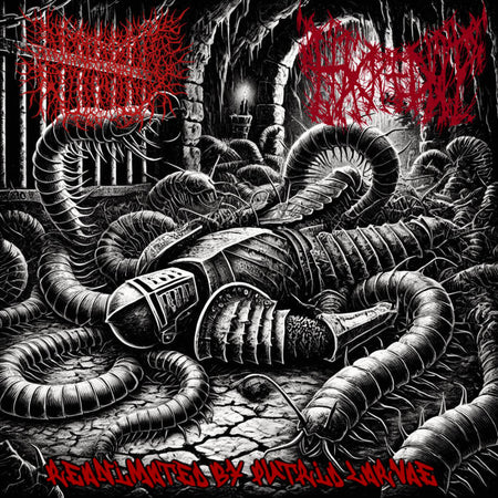 Desecrated Extinction/Hacked Up - Reanimated by Putrid Larvae CD cover art
