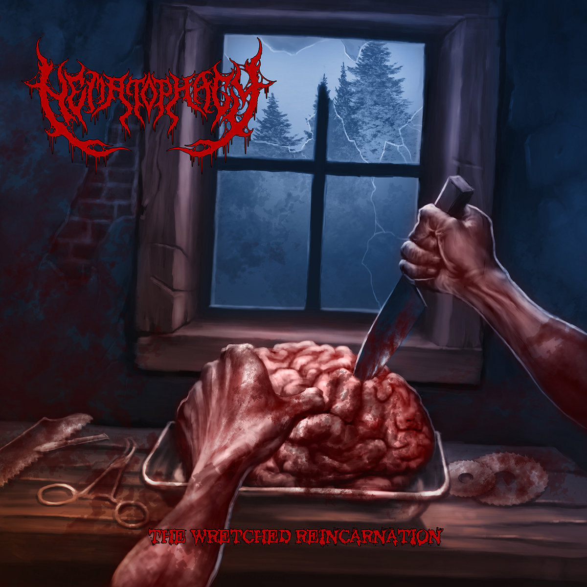 Hematophagy - Wretched Reincarnation CD cover art