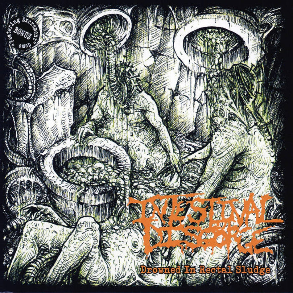 Intestinal Disgorge - Drowned In Rectal Sludge CD cover art