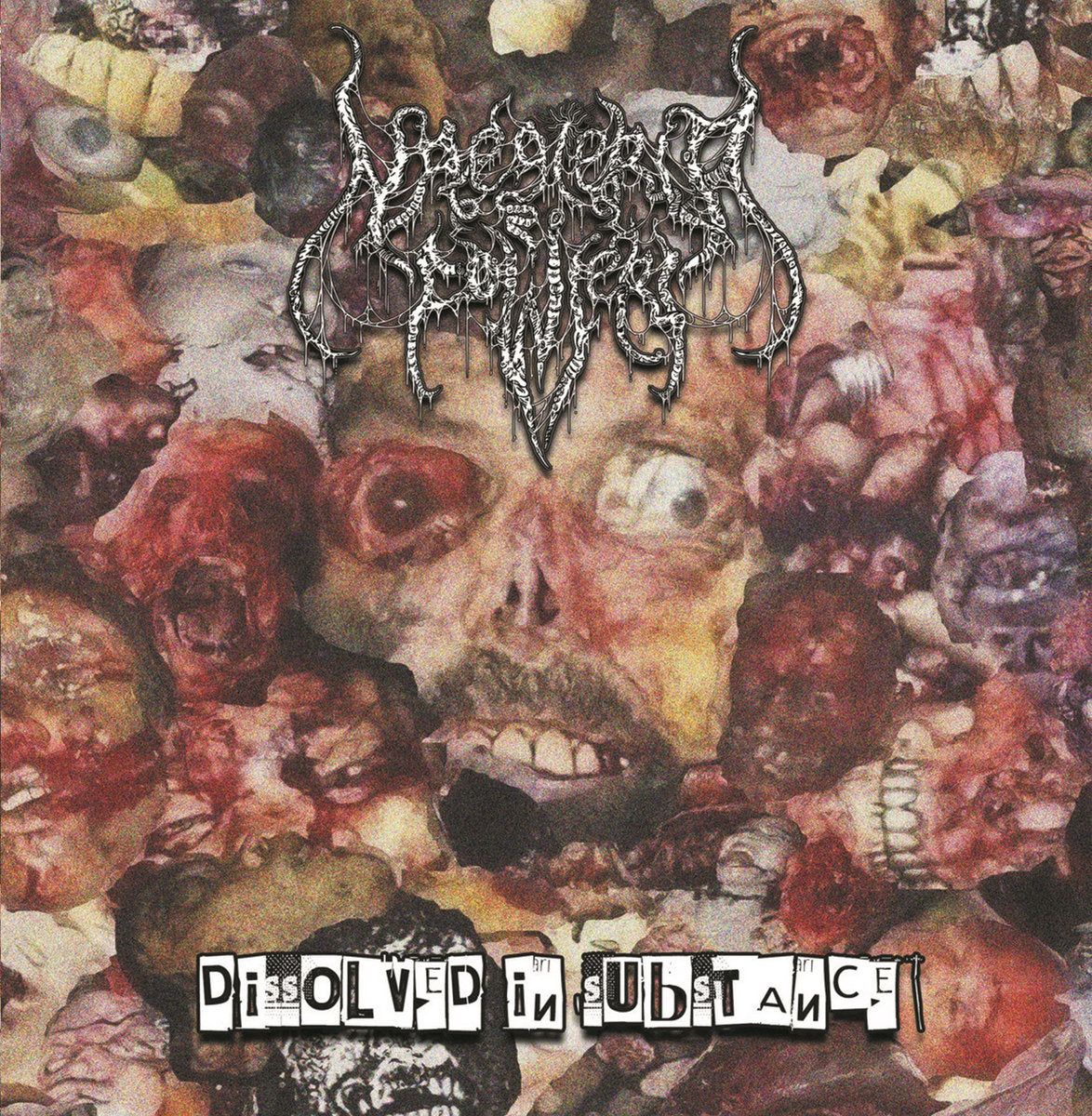 Naegleria Fowleri - Dissolved In Substance CD cover art