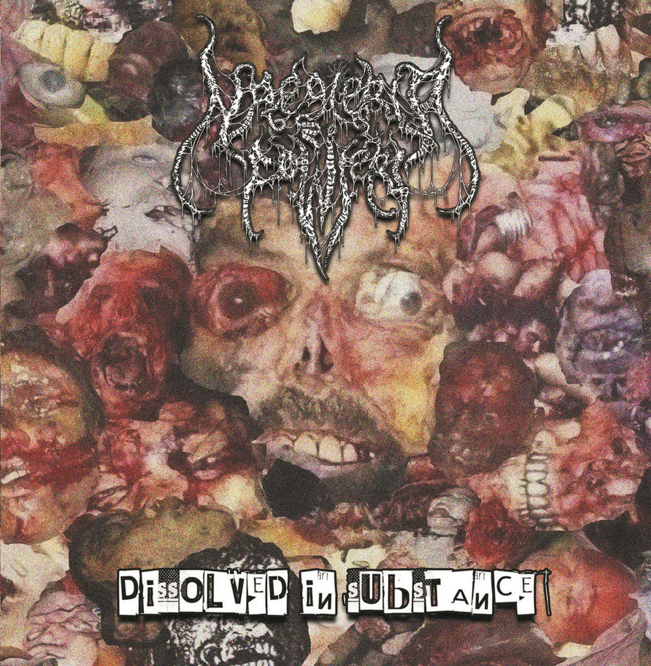 Naegleria Fowleri - Dissolved In Substance CD cover art