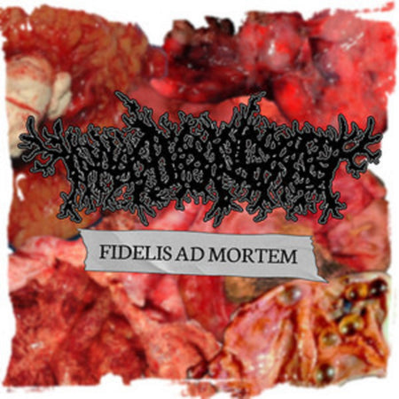 Thanatopsis - Fidelis Ad Mortem CD cover art