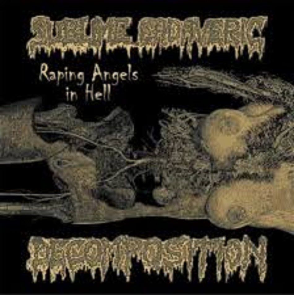 Sublime Cadaveric Decomposition - Raping Angels In Hell CD cover art