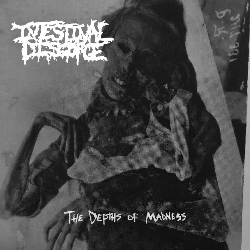 Intestinal Disgorge - The Depths of Madness CD
