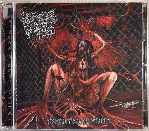 Nuclear Remains - Heinous Acts Of Iniquity CD cover art