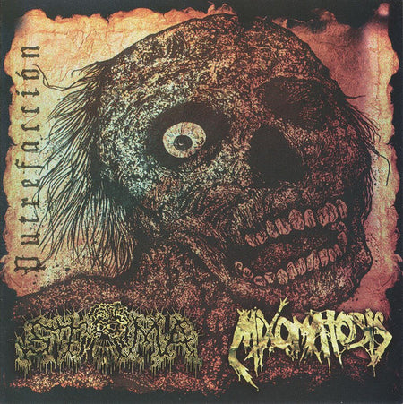 Stoma / Mixomatosis - Putrefacción Split CD cover art