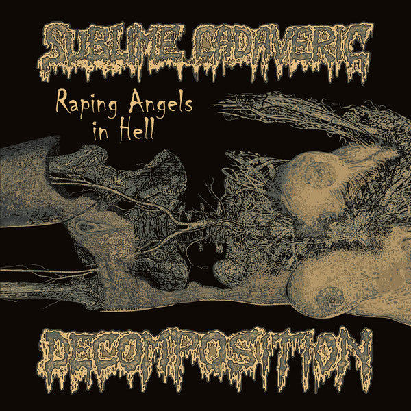 Sublime Cadaveric Decomposition - Raping Angels In Hell CD cover art
