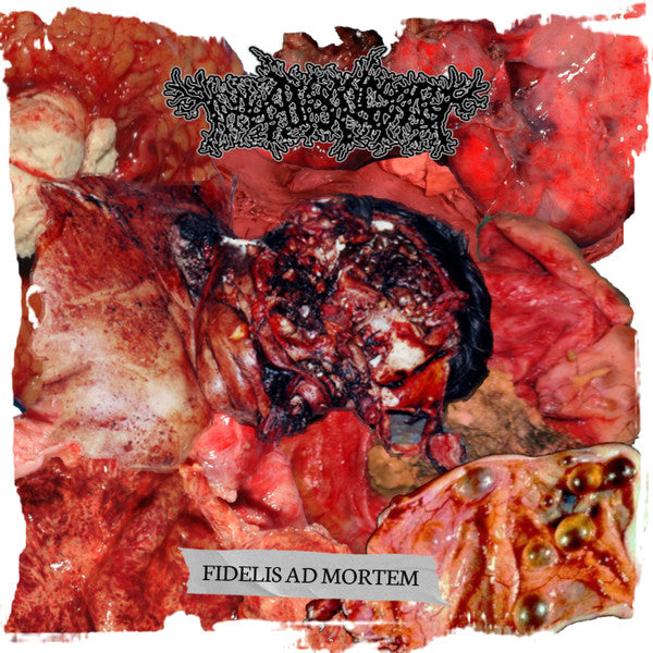 Thanatopsis - Fidelis Ad Mortem CD cover art