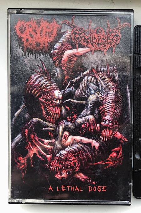 Crypt Rot / Radiologist - A Lethal Dose CD cover art