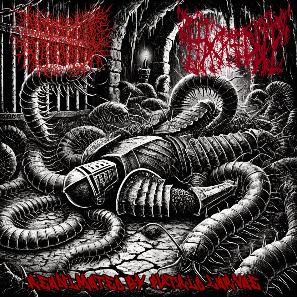 Desecrated Extinction/Hacked Up - Reanimated by Putrid Larvae CD cover art