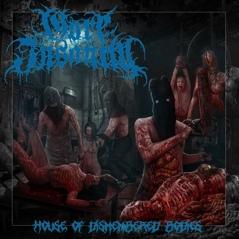 Gore Insanity - House Of Dismembered Bodies CD cover art