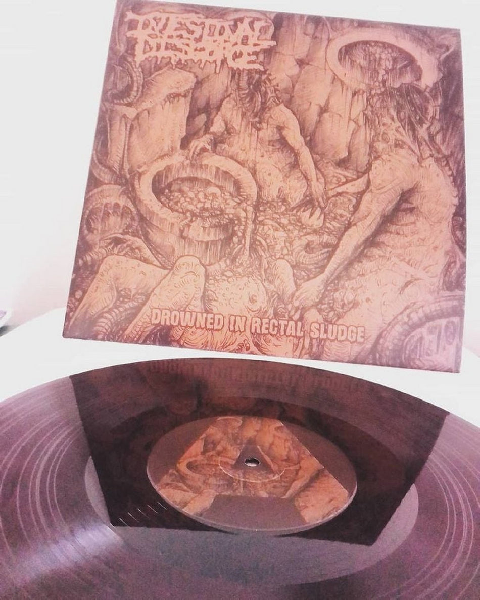 Intestinal Disgorge - Drowned In Rectal Sludge CD cover art
