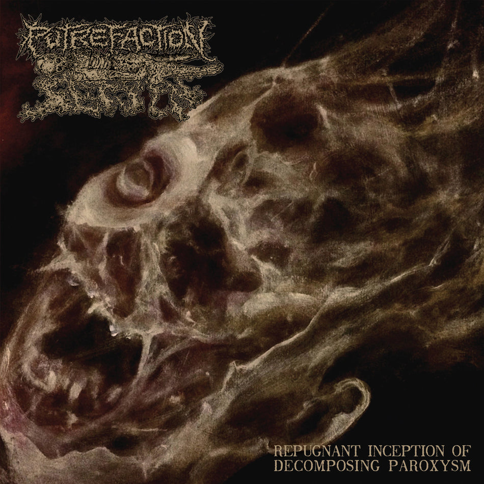 Putrefaction Sets In - Repugnant Inception Of Decomposing Paroxysm CD cover art