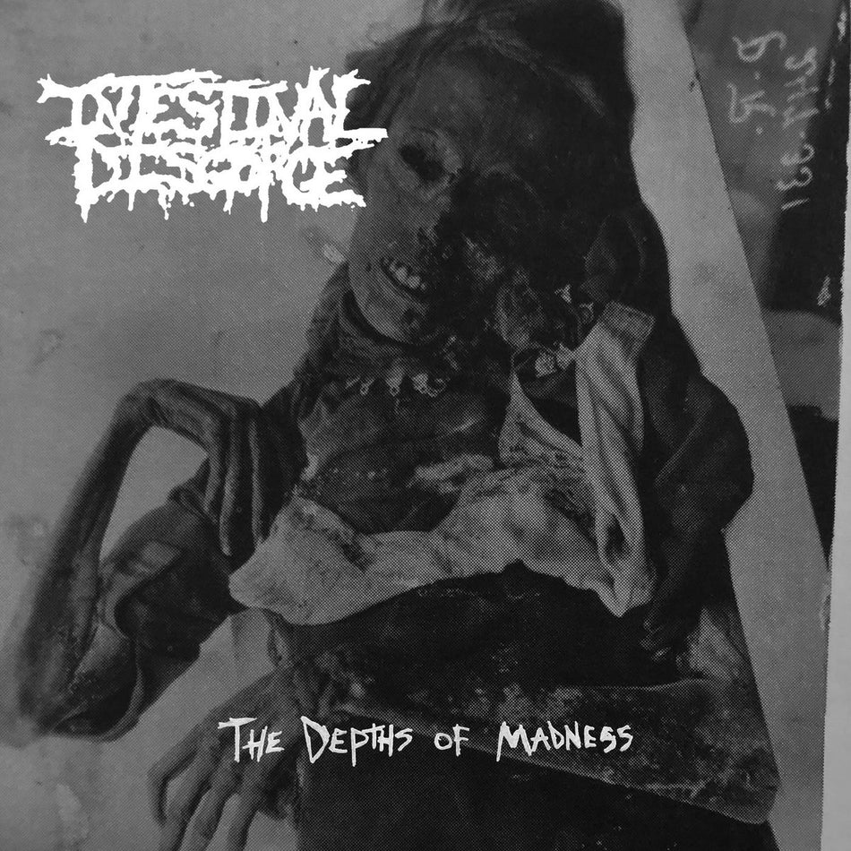 Intestinal Disgorge - The Depths Of Madness CD cover art