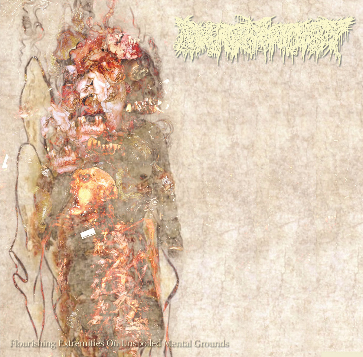 Pharmacist - Flourishing Extremities On Unspoiled Mental Grounds CD cover art