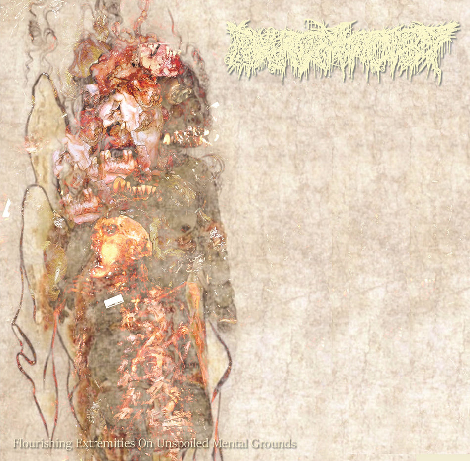 Pharmacist - Flourishing Extremities On Unspoiled Mental Grounds CD cover art