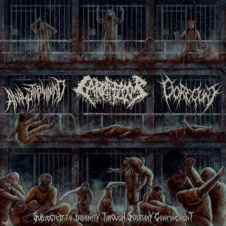 Anal Stabwound / Carnifloor / Gorecunt - Subjected To Insanity Through Solitary Confinement CD cover art