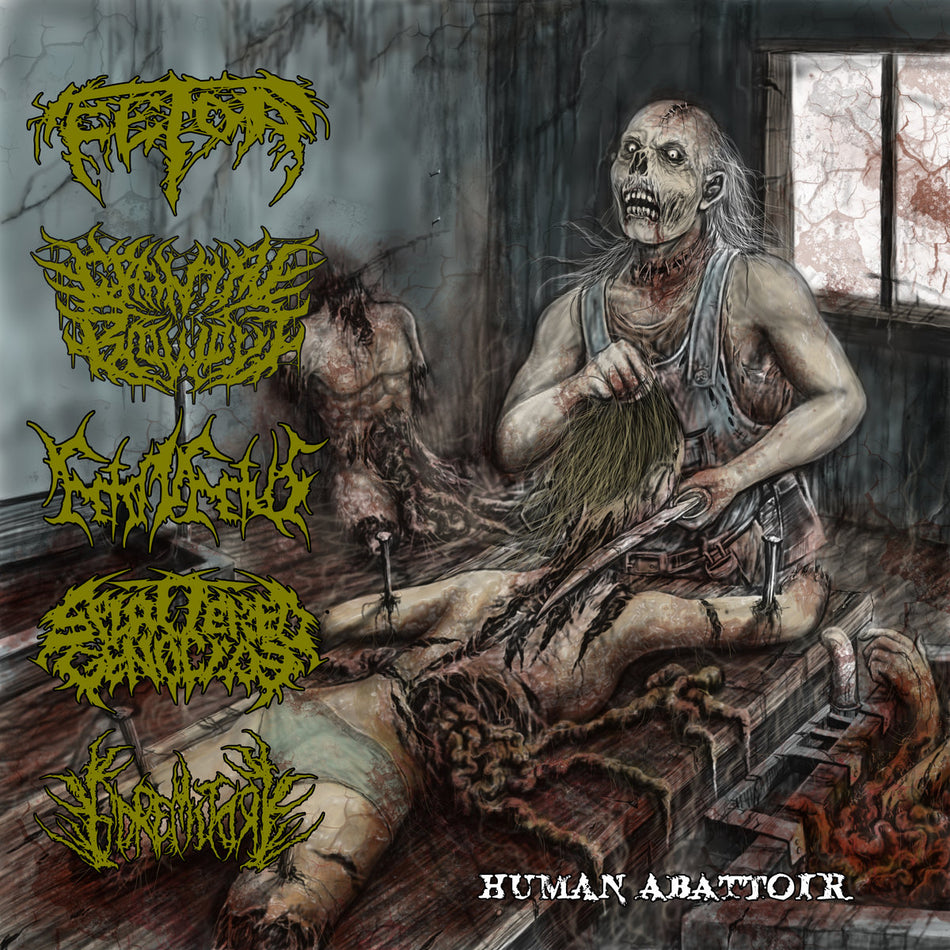 Fetor / Cranial Blowout / Feto In Fetus / Splattered Genocide / Goremitory - Human Abattoir CD cover art
