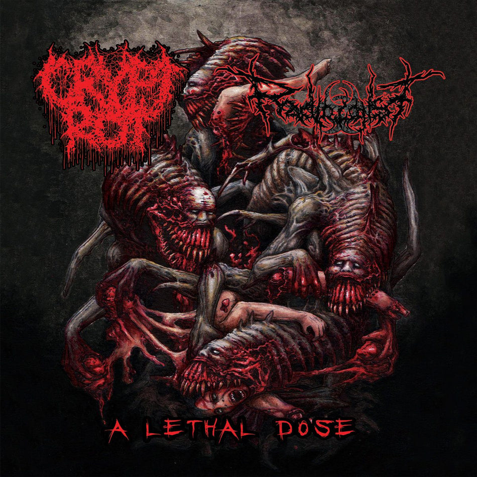 Crypt Rot / Radiologist - A Lethal Dose CD cover art