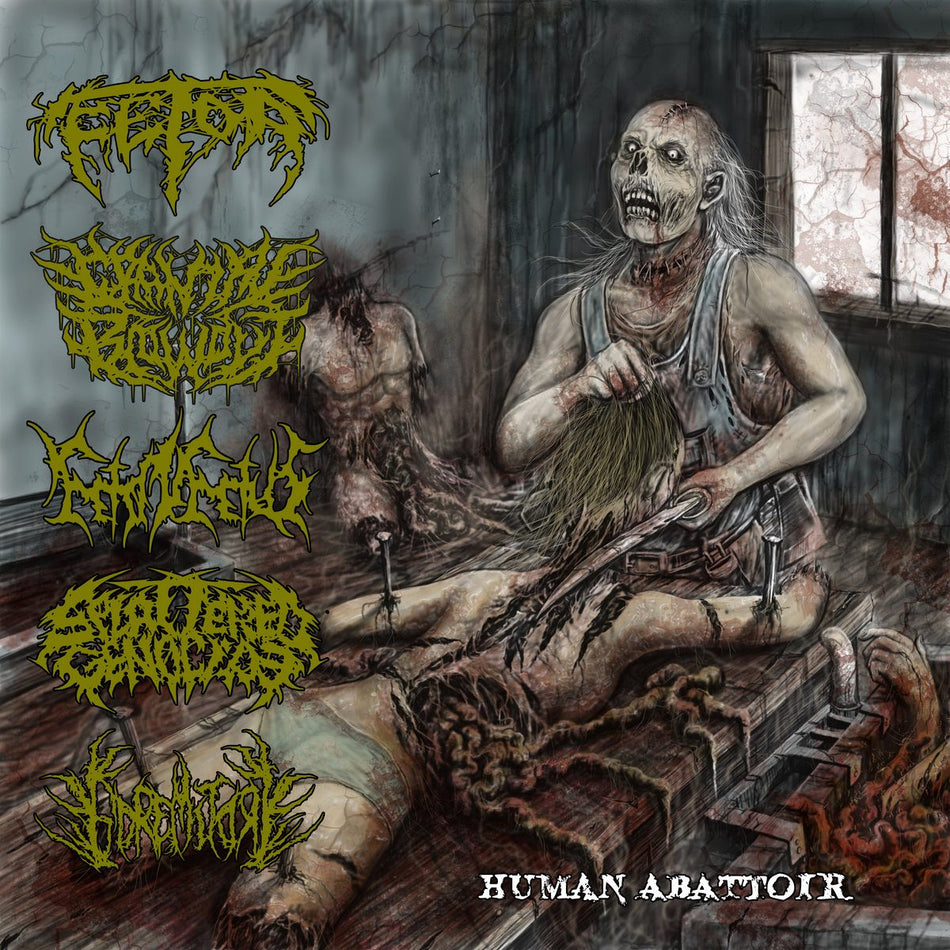 Fetor / Cranial Blowout / Feto In Fetus / Splattered Genocide / Goremitory - Human Abattoir CD cover art