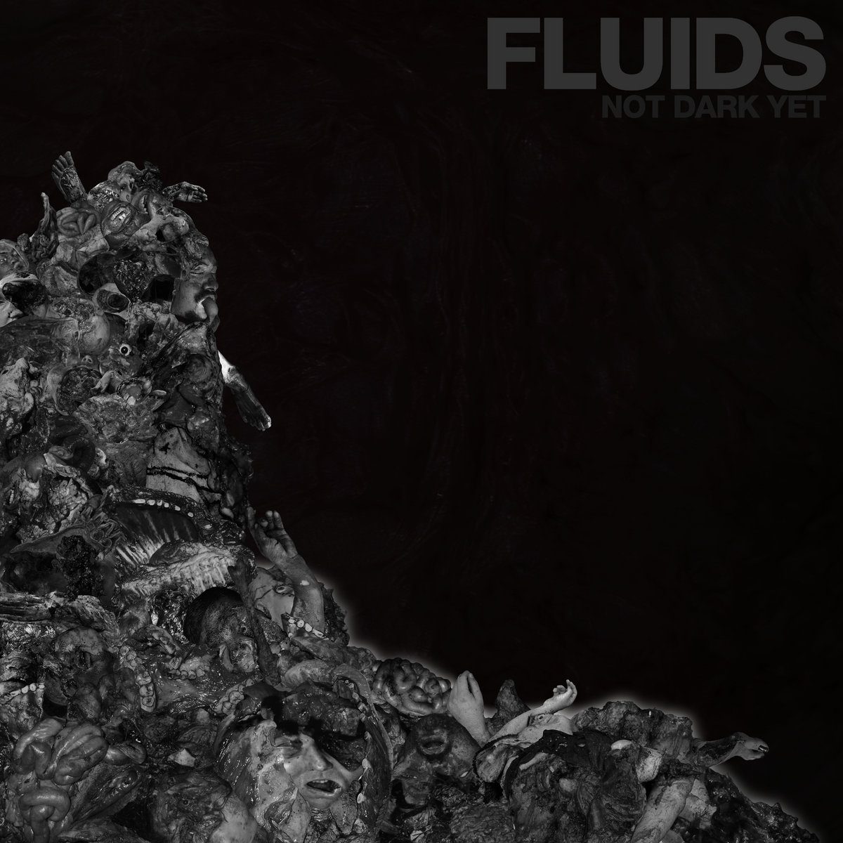 Fluids - Not Dark Yet CD cover art