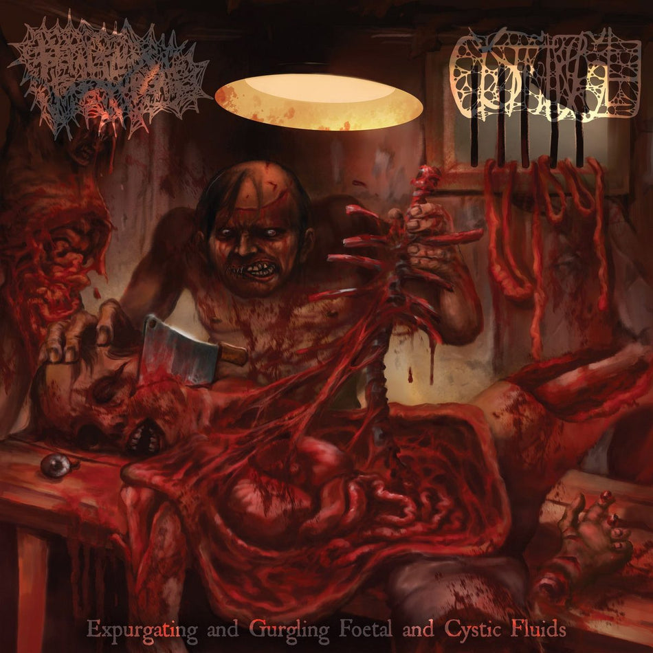 Foetal Fluids To Expurgate/Cystgurgle - Split CD cover art