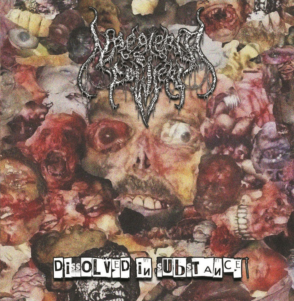 Naegleria Fowleri - Dissolved In Substance CD cover art