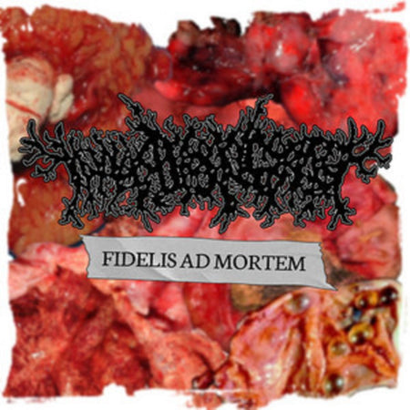 Thanatopsis - Fidelis Ad Mortem CD cover art